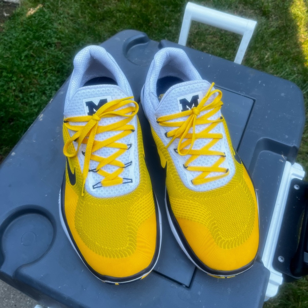 Michigan Wolverines Nike Free Trainer V7